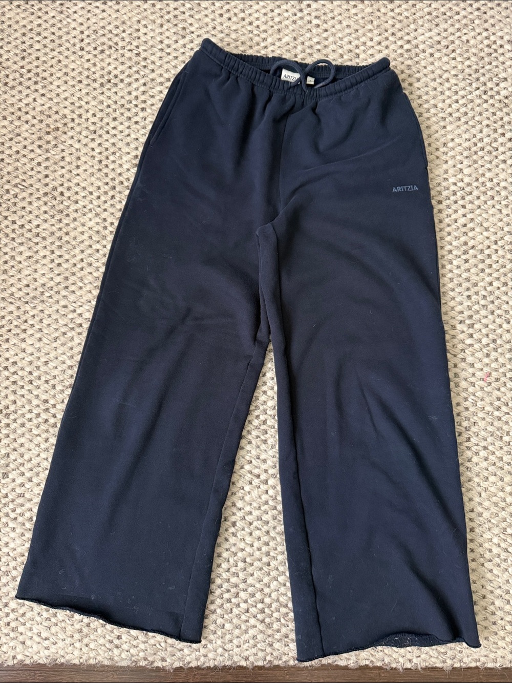 Aritzia Navy Wide-Leg Joggers